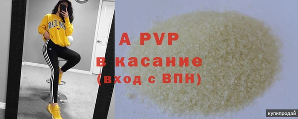 твердый Краснослободск