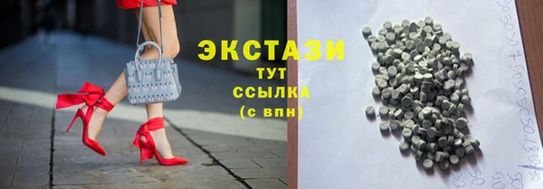 твердый Краснослободск