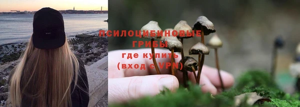 твердый Краснослободск