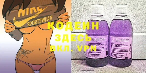 твердый Краснослободск