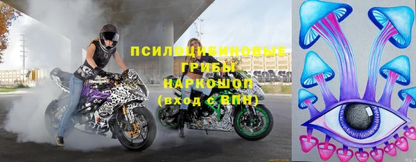 твердый Краснослободск