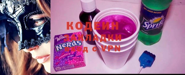 твердый Краснослободск