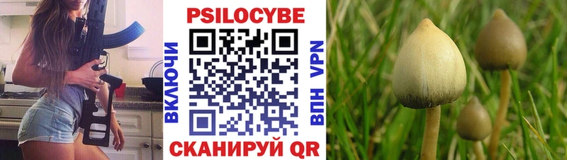 Купить где  Фролово  Псилоцибиновые грибы мицелий 