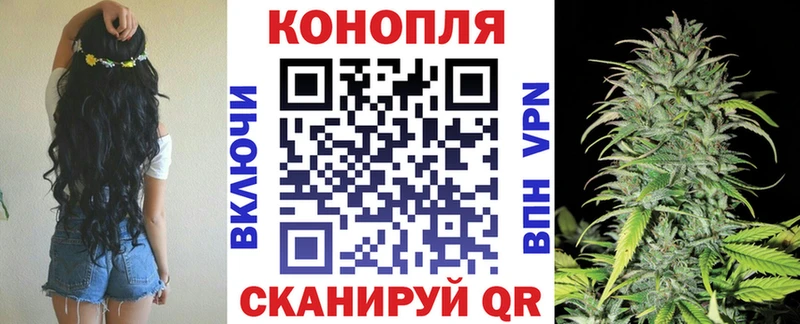Купить где  Фролово  Бошки марихуана тримм 
